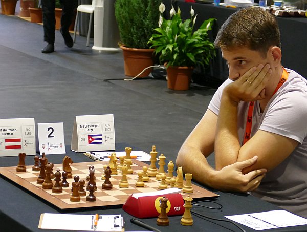 Leca Open in Porto