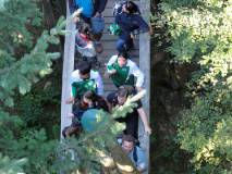 2015-09-12_Baumkronenweg_DSC04398